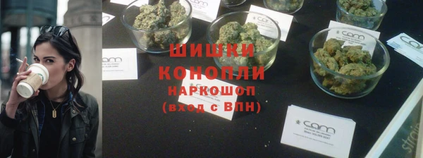 тгк Пересвет